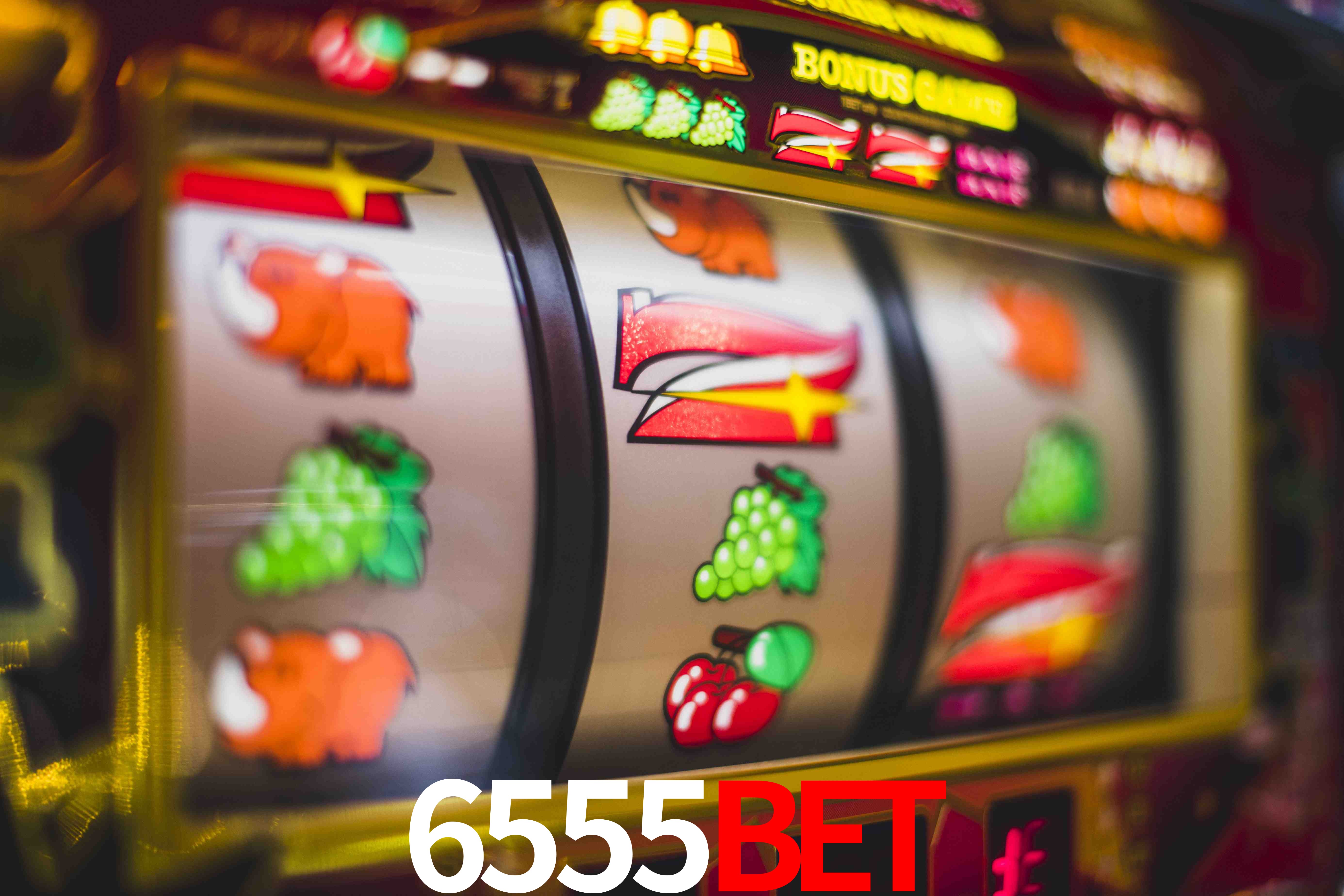 Sports Statistics 6555Bet